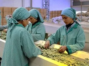 'Kadınlar artık zor iş bulur'