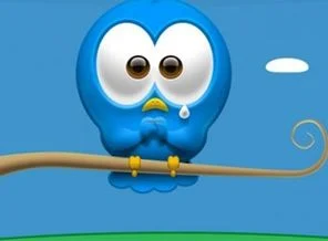 Kanarya'ya Twitter yasak