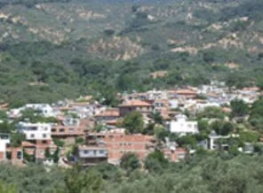 Kurtiz'in vasiyeti yerine getirilmiyor