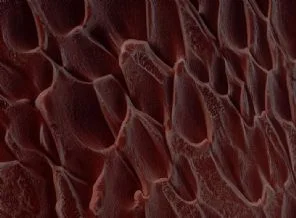 Mars'ta çekilen yakın çekim fotoğraflar