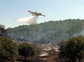 Muğla'da orman yangını