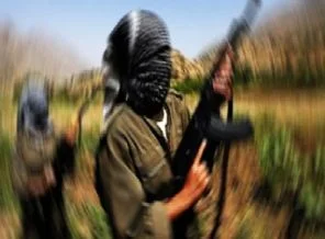 PKK'lılar Siirt'te 4 işçiyi kaçırdı!