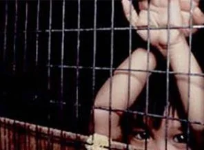 'Ten rengi esmer' fişlemesine soruşturma açıldı