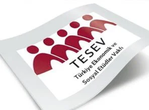 TESEV: Paketler reform değil sistem içi revizyondur