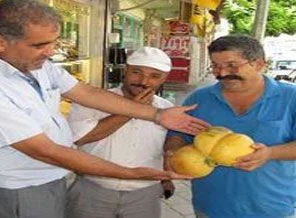 Üçüz kavunu görenler şaşırıyor