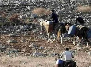 Van'da çatışma: 4 yaralı