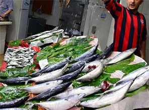 'Vira Bismillah' ile balık fiyatları düştü