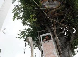 Ağaca kapı taktı görenler şaştı kaldı