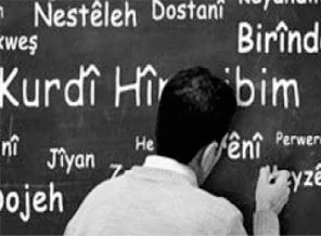 'Anadilde eğitim ülkeyi böler, bir tek Kürdün anası yok ki...'