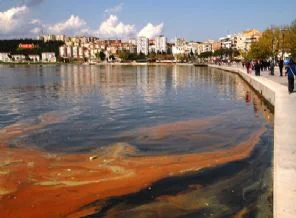 Arıtma tesisi yok, Çanakkale Boğazı kirleniyor
