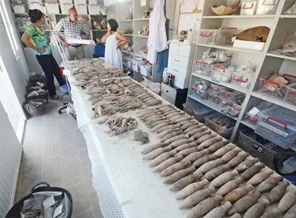Arkeolojide yüzyılın keşfi İstanbul'da yapıldı