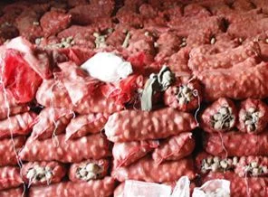 Bakanı'nın 'Patates kafa' dediği AK Partili Başkan konuştu!