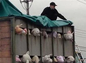 'Banksy'i buldum'