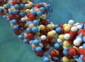 Bilim adamları Vücut saatini düzenleyen DNA'yı buldu