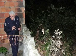 Bursa'da ayı alarmı