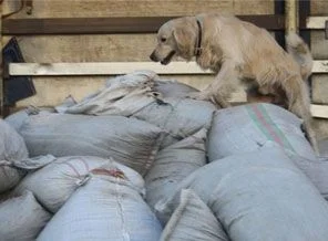 Erzincan'da 18 ton kaçak çay imha edildi