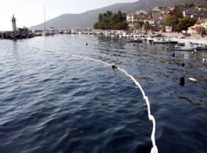 Gemlik Körfezi'ndeki çevre felaketine bakanlık el attı