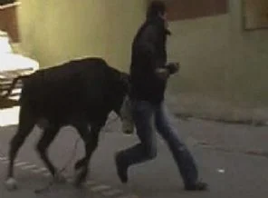 Hani bayrama az kaldı ya boğa klasikleri sokaklarda!