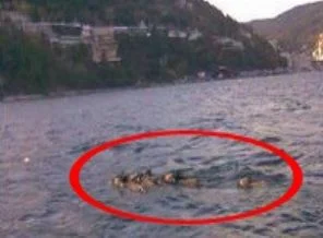 İstanbul Boğazı'nda şoke eden görüntü