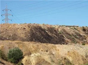 İzmir'in Çernobil'i yine zehir kustu