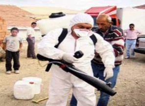 Keneden ölümlerin asıl ilacı eğitim oldu