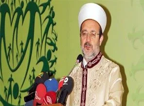 Mehmet Görmez: Bu bir akıl tutulmasıdır