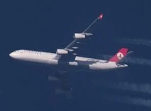 Motoruna kuş çarpan uçak geri döndü