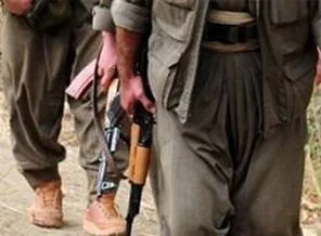 PKK'lılar taş ocağını bastı