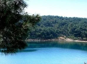 '22 ada yapılaşmaya ve RES'lere açılıyor' iddiası