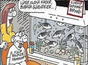 Boğaz'da gırgır yasaklansın, balıklar büyüsün