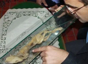 Camideki gizemli iskeletin sırrı çözüldü