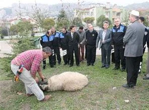 Emniyet 'bela savuşturmak' için kurban kesti