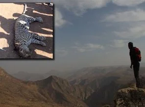Gabar'da leoparın izinde