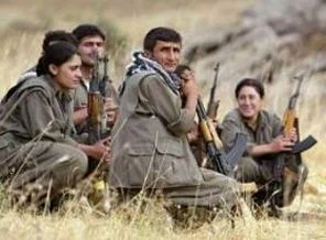 Hakkari'de bir PKK'lı teslim oldu