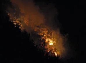 Hatay'da orman yangını