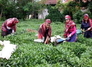 İlk Lazca ders kitabı yayımlandı