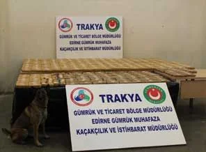 Kapıkule'de 246 kilo eroin ele geçirildi