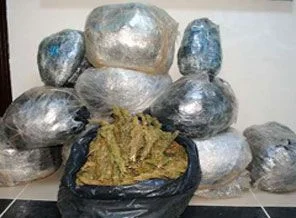 Şanlıurfa'da 156 kilo esrar yakalandı