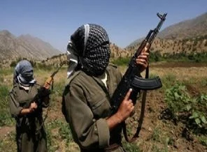 Sivas'ta 5 PKK'lı tutuklandı!