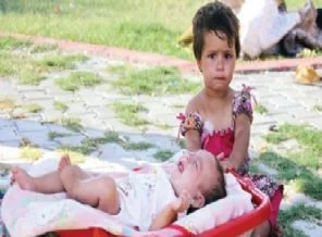 Sokakta yaşamayı tercih ediyorlar