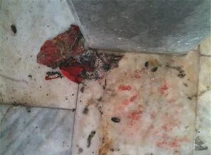 Türk bayrağını yaktılar