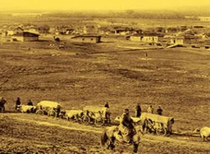 Ulus devlete göç