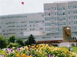Üniversite olma yolunda