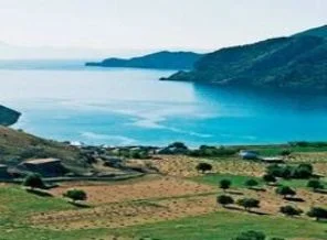 Van Gölü'nde yatan servet!