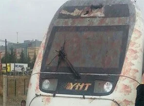 YHT kuş sürüsüne çarptı