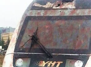 Yüksek Hızlı Tren kuş sürüsüne çarptı