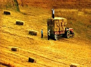 6 yıl üst üste büyüyerek rekor kırdı
