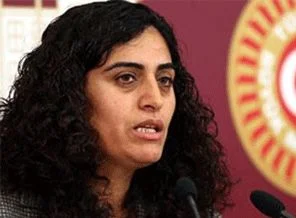 BDP Kadın Meclisi: Tuncel'e ceza, tehdit siyasetinin parçası