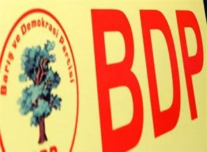BDP'li başkanın kız kardeşi dağdan indi