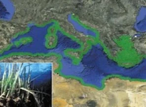 BM: Akdeniz yaşlanıyor, iyi bakılmalı